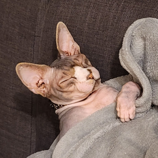 Meghan Hayes Photo 19