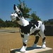 John Holstein Photo 36
