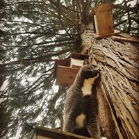 Landon Fowler Photo 19