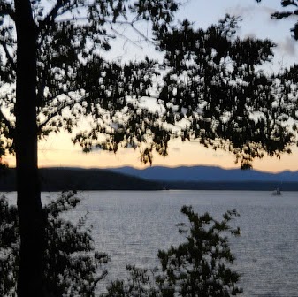 Nancy Sheehan Photo 14