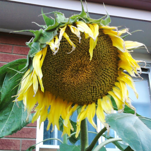 Katherine Mcpherson Photo 8