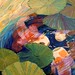 Jill Troutman Photo 21