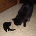 Barney Bell Photo 16