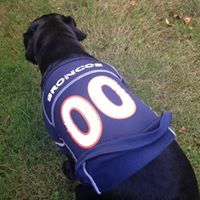 Lawrence Post Photo 18