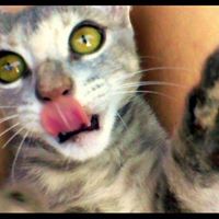 Michelle Malcolm Photo 30