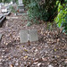 Theresa Skinner Photo 38