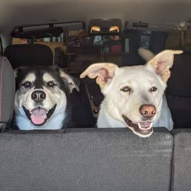 Kevin Burger Photo 27