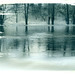 Ann Rivers Photo 6