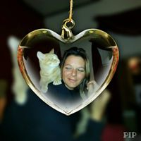 Tracy Preston Photo 11