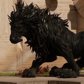 Raymond Walter Photo 3