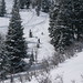 Stacey Douglas Photo 7