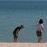 Debra Koehler Photo 13
