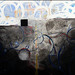 Patricia Rollins Photo 27
