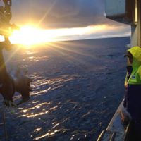 Tyler Linton Photo 24