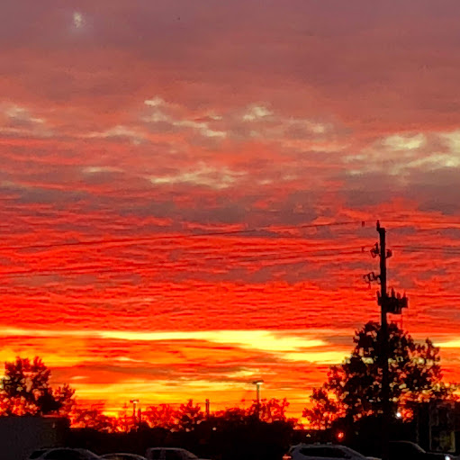 Lynn Morris Photo 43