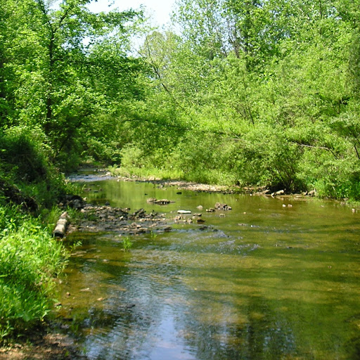 Larry Walter Photo 32