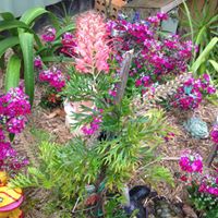 Marlene Leonard Photo 19