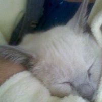 Angela Maxfield Photo 9