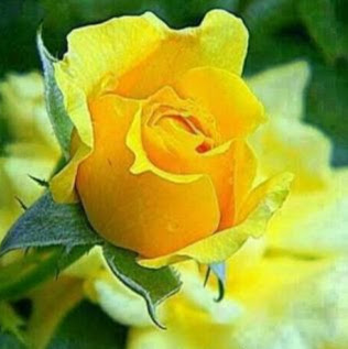 Rita Franklin Photo 5