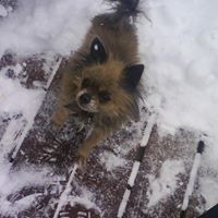 Maxine Conner Photo 4