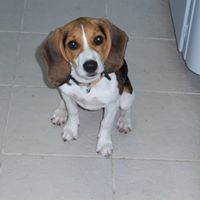 Ann Callaghan Photo 12