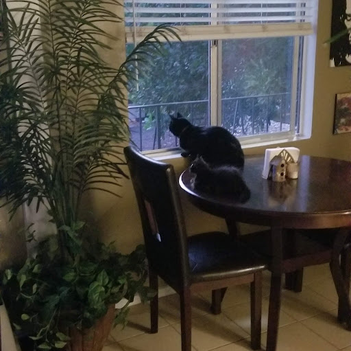 Derrick Gilbert Photo 6