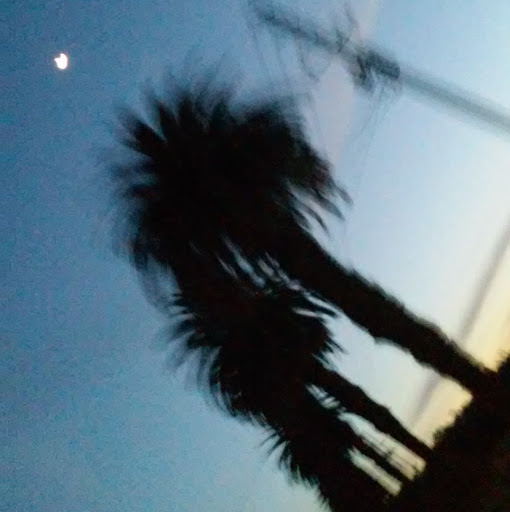 Adalberto Garcia Photo 33