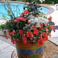 Colleen Paul Photo 17