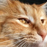 Carolyn Marchand Photo 3