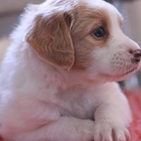 Charles Cummings Photo 22