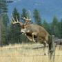 Bobby Mcdaniel Photo 5