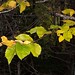 Edward Munn Photo 16