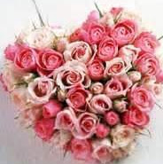 Cecilia Lewis Photo 34