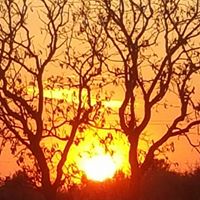 Anne Mills Photo 8 Anne Mills Photo 8