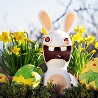 Shannon Lane Photo 47