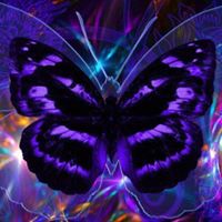 Stephanie Crain Photo 30