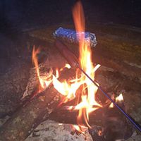 Kathy Schulz Photo 12