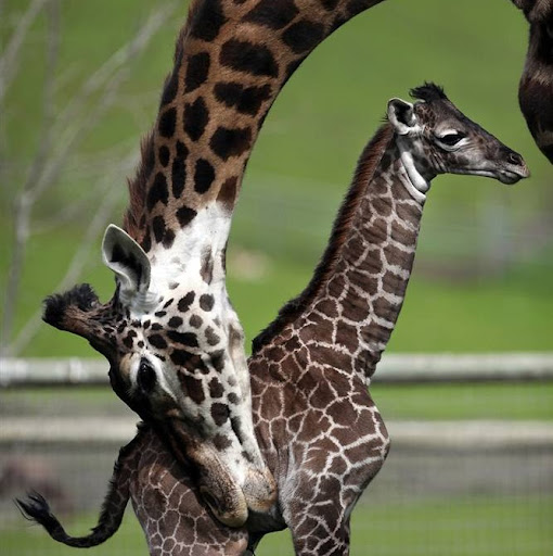 Rachel Bray Photo 29