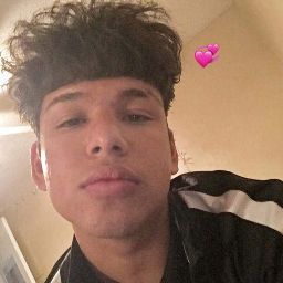 Andrew Castillo Photo 12