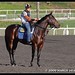Richard Alvarez Photo 17