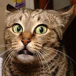 Kathy Jenkins Photo 9 Kathy Jenkins Photo 9