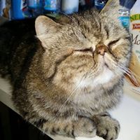 Wilson Cheng Photo 30