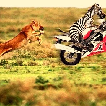 Samuel Mccarthy Photo 21