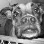 Debra Yates Photo 28