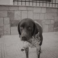 Eugenio Benitez Photo 6