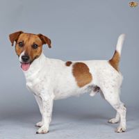 Mark Booher Photo 16