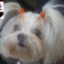 Deborah Coon Photo 12