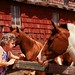 Eileen Bell Photo 23