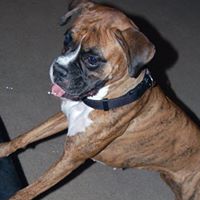 Paul Paquette Photo 15