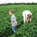 Susan Kyle Photo 16